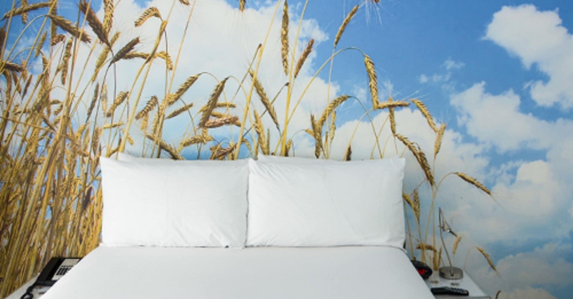 Penguin Hotel Майами-Бич Экстерьер фото